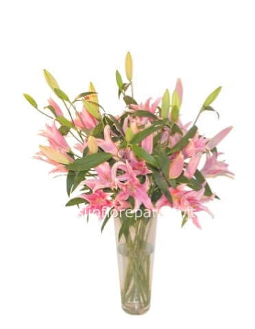 Mazzo di lilium colore rosa.
